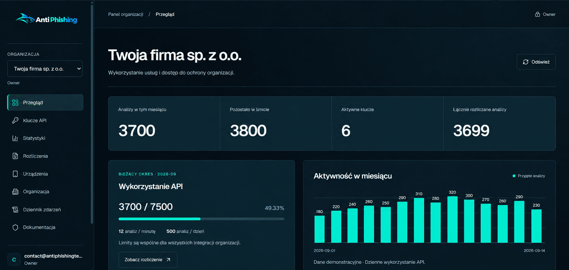 Widok Enterprise Security Center z podsumowaniem organizacji i wykorzystania API